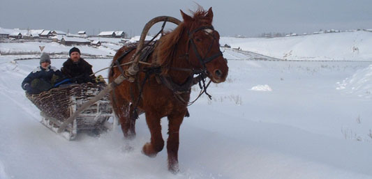 Активный тур 'Уральский серпантин' - комбинированный горнолыжный, конно-санный тур.